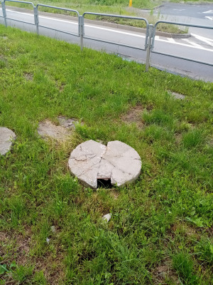 Zdjęcie 2 przedstawia problem zgłoszony w tym alercie