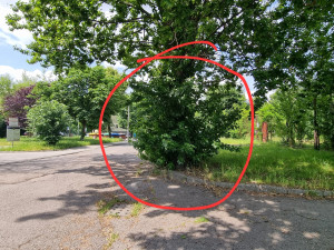 Zdjęcie 1 przedstawia problem zgłoszony w tym alercie