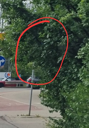 Zdjęcie 2 przedstawia problem zgłoszony w tym alercie