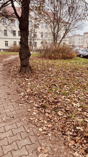 Zdjęcie 4 przedstawia problem zgłoszony w tym alercie