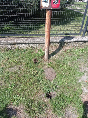 Zdjęcie 2 przedstawia problem zgłoszony w tym alercie