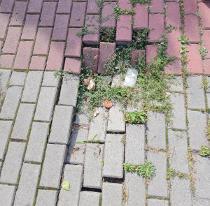 Zdjęcie 1 przedstawia problem zgłoszony w tym alercie