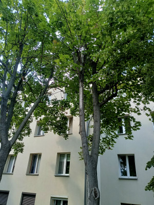 Zdjęcie 1 przedstawia problem zgłoszony w tym alercie
