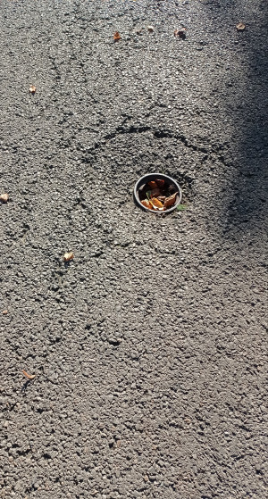 Zdjęcie 2 przedstawia problem zgłoszony w tym alercie