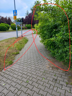 Zdjęcie 2 przedstawia problem zgłoszony w tym alercie