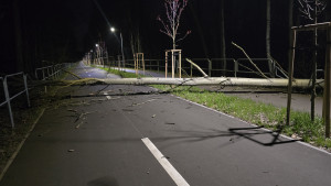 Zdjęcie 1 przedstawia problem zgłoszony w tym alercie
