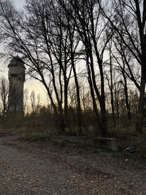 Zdjęcie 2 przedstawia problem zgłoszony w tym alercie