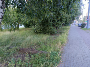 Zdjęcie 1 przedstawia problem zgłoszony w tym alercie