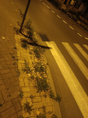 Zdjęcie 2 przedstawia problem zgłoszony w tym alercie