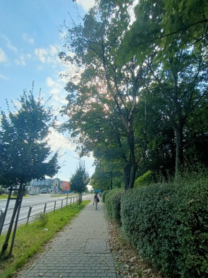 Zdjęcie 2 przedstawia problem zgłoszony w tym alercie