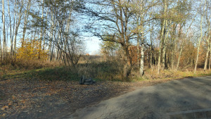 Zdjęcie 1 przedstawia problem zgłoszony w tym alercie