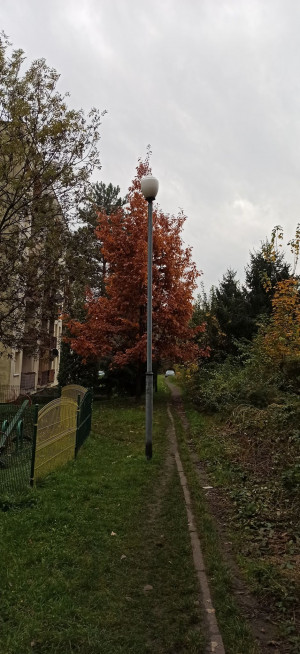 Zdjęcie 1 przedstawia problem zgłoszony w tym alercie