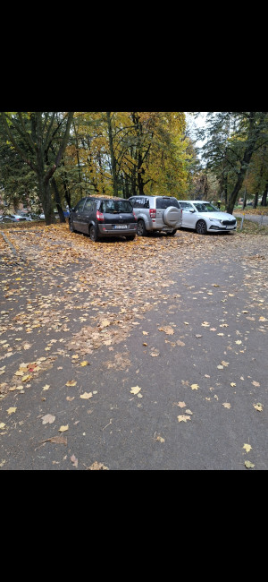 Zdjęcie 2 przedstawia problem zgłoszony w tym alercie