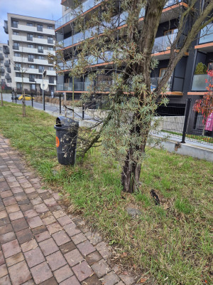 Zdjęcie 1 przedstawia problem zgłoszony w tym alercie