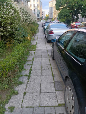 Zdjęcie 1 przedstawia problem zgłoszony w tym alercie