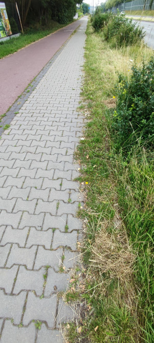 Zdjęcie 1 przedstawia problem zgłoszony w tym alercie