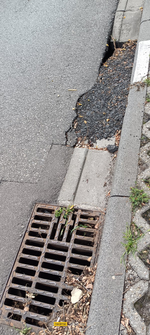 Zdjęcie 2 przedstawia problem zgłoszony w tym alercie