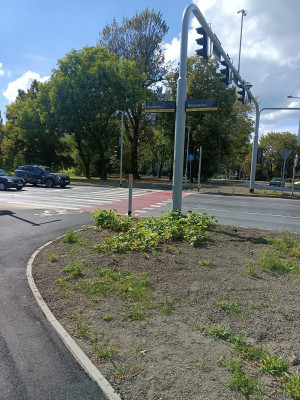 Zdjęcie 1 przedstawia problem zgłoszony w tym alercie