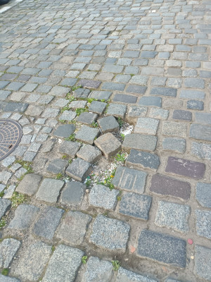 Zdjęcie 2 przedstawia problem zgłoszony w tym alercie
