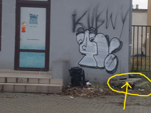 Zdjęcie 1 przedstawia problem zgłoszony w tym alercie