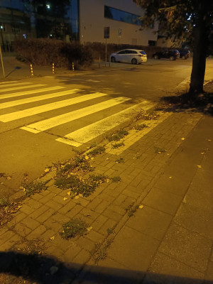 Zdjęcie 2 przedstawia problem zgłoszony w tym alercie