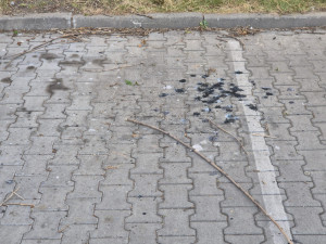 Zdjęcie 2 przedstawia problem zgłoszony w tym alercie