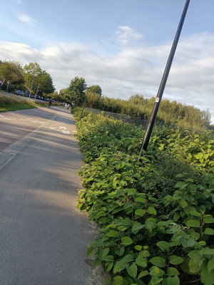 Zdjęcie 3 przedstawia problem zgłoszony w tym alercie