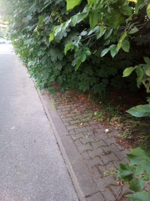 Zdjęcie 2 przedstawia problem zgłoszony w tym alercie