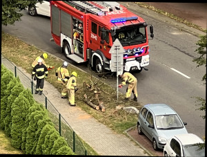 Zdjęcie 2 przedstawia problem zgłoszony w tym alercie