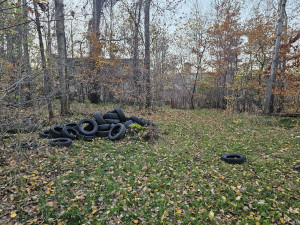 Zdjęcie 1 przedstawia problem zgłoszony w tym alercie