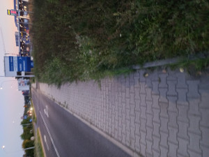 Zdjęcie 3 przedstawia problem zgłoszony w tym alercie