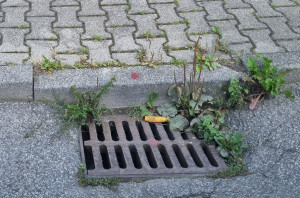 Zdjęcie 3 przedstawia problem zgłoszony w tym alercie