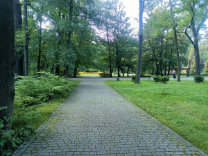Zdjęcie 3 przedstawia problem zgłoszony w tym alercie