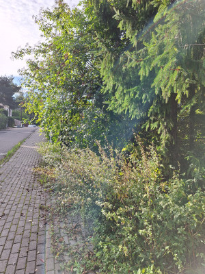 Zdjęcie 2 przedstawia problem zgłoszony w tym alercie