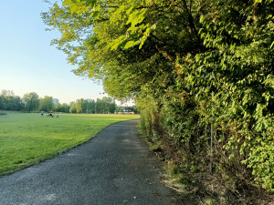 Zdjęcie 1 przedstawia problem zgłoszony w tym alercie
