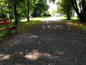 Zdjęcie 1 przedstawia problem zgłoszony w tym alercie