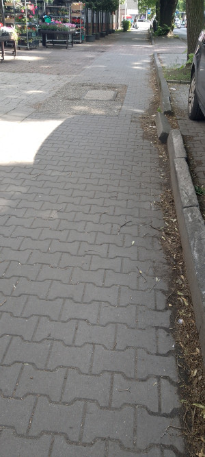 Zdjęcie 6 przedstawia problem zgłoszony w tym alercie