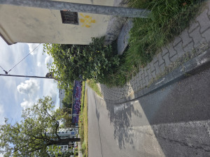 Zdjęcie 1 przedstawia problem zgłoszony w tym alercie
