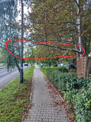 Zdjęcie 1 przedstawia problem zgłoszony w tym alercie