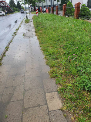 Zdjęcie 4 przedstawia problem zgłoszony w tym alercie
