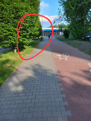 Zdjęcie 3 przedstawia problem zgłoszony w tym alercie