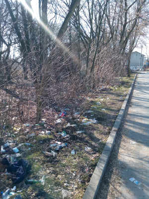 Zdjęcie 5 przedstawia problem zgłoszony w tym alercie