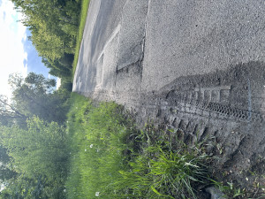 Zdjęcie 1 przedstawia problem zgłoszony w tym alercie