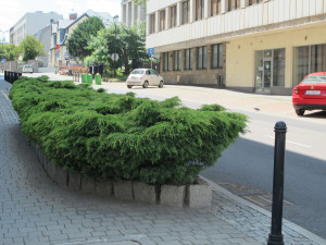 Zdjęcie 2 przedstawia problem zgłoszony w tym alercie