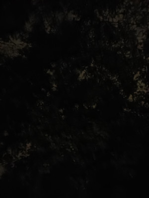 Zdjęcie 2 przedstawia problem zgłoszony w tym alercie