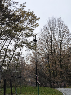 Zdjęcie 1 przedstawia problem zgłoszony w tym alercie