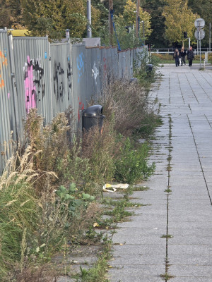 Zdjęcie 4 przedstawia problem zgłoszony w tym alercie