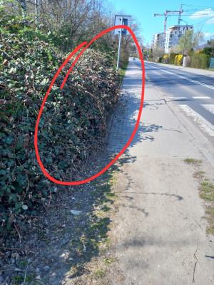 Zdjęcie 1 przedstawia problem zgłoszony w tym alercie