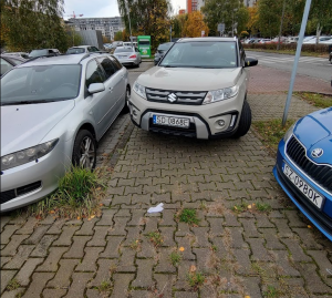 Zdjęcie 1 przedstawia problem zgłoszony w tym alercie