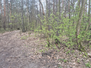 Zdjęcie 5 przedstawia problem zgłoszony w tym alercie